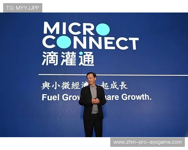 切尔西砥砺前行：在预算考验中实现精准引援的战略新篇章