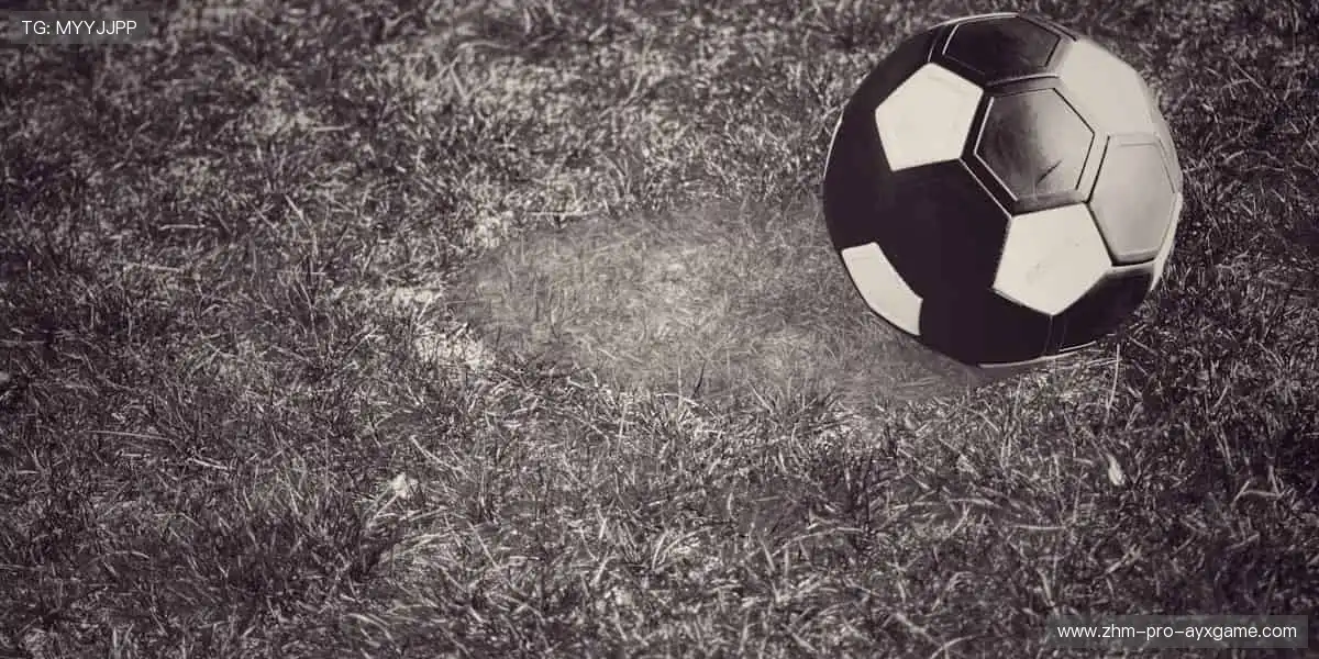 🎁限量发售，专属你的收藏时刻！